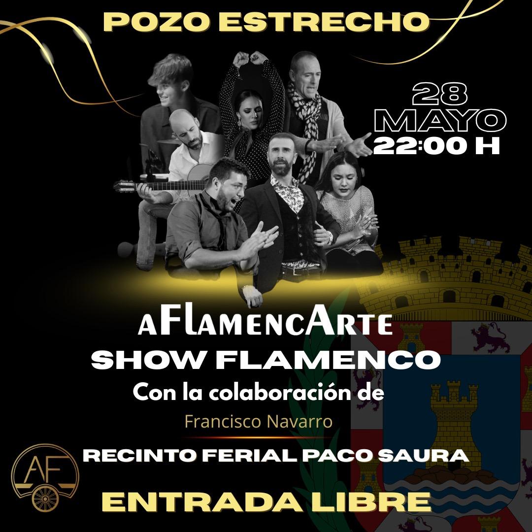 aFlamencArte show flamenco | Fiestas Pozo Estrecho